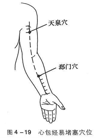 心包经的作用功效，心包经的准确位置图