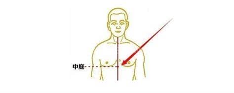 中庭是什么部位， 中庭穴的准确位置图和作用