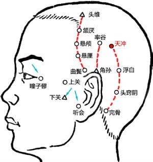 天冲穴在什么位置？天冲的准确位置图和作用