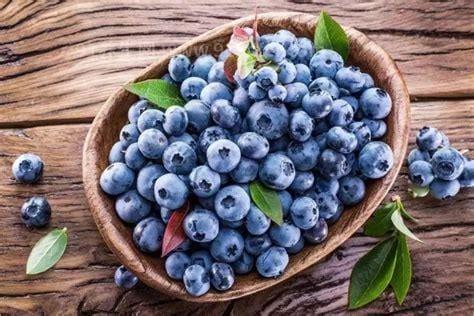 女人吃蓝莓的好处和坏处,减缓衰老/抗癌功能/减缓衰老