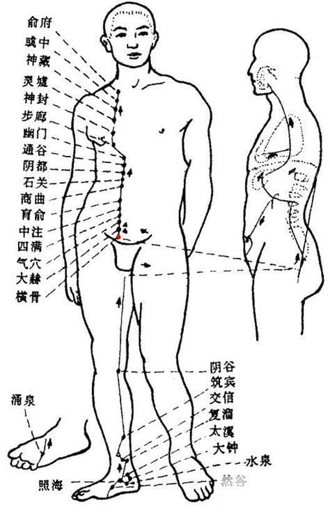 什么是横骨，横骨穴在哪个位置