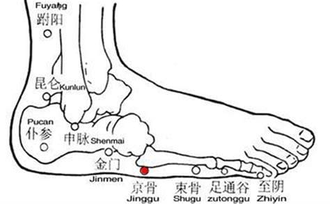 京骨穴怎么找，京骨的准确位置图和作用