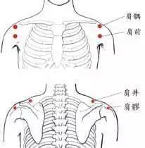 肩髃怎么读，肩髃的准确位置图片