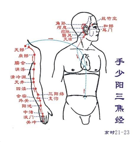 三焦经的准确位置图，手少阳三焦经循行路线