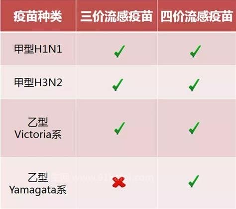 流感疫苗3价4价区别