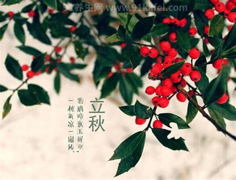 立秋的时间 立秋是什么时候,一般在7月23日或24日左右