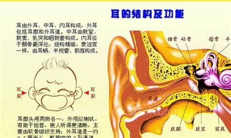 双氧水洗耳朵正确方法,处理污垢/滴过氧化氢