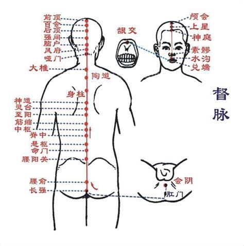 带脉的作用与功效