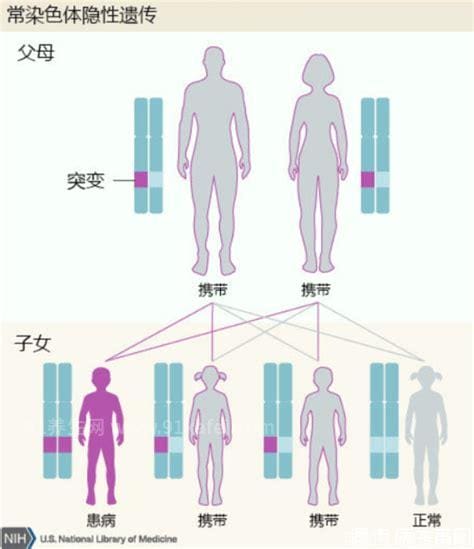 精神病遗传下一代吗