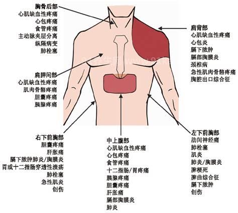 女性左胸下疼痛位置图