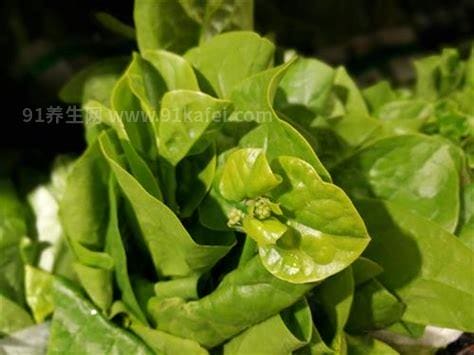 木耳菜的营养价值及食用方法