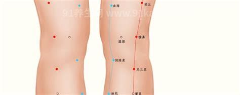 膝关穴位位置图
