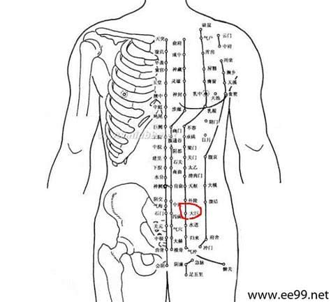 大巨穴位位置图