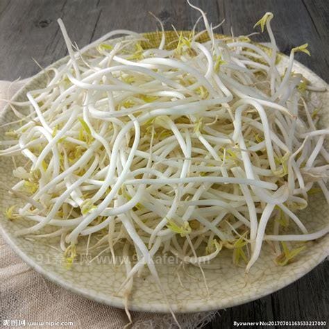 绿豆芽,属于豆科植物的芽