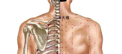 大椎穴位位置图