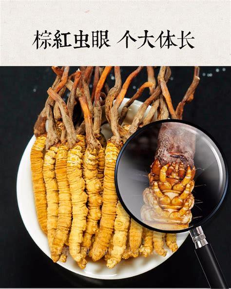 冬虫夏草的功效与作用及食用方法