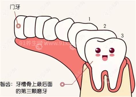 拔智齿多少钱一颗2021价格表，正常是200元优质