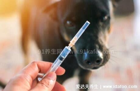 打完狂犬疫苗后悔死了，并非终身免疫优质