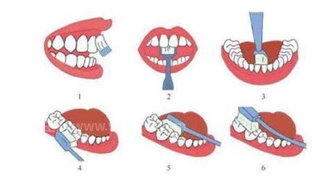 巴氏刷牙法的七个正确步骤优质
