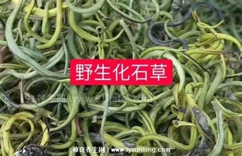 男人喝化石草壮阳吗，有但效果一般般优质