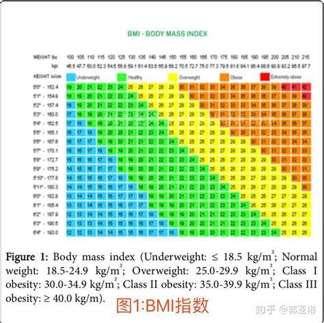 成年女性和成年男性BMI，需要根据不同年龄段来定优质