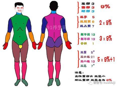 烧伤面积口诀三三三五六七，小编解析数字详细意思优质