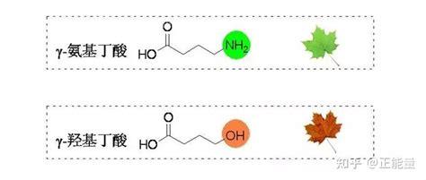 γ—羟基丁酸制作太简单，只要简单6个步骤搞定优质