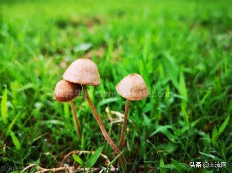 梅雨季节2022什么时间入梅，大约在6月7日前后(受地域影响大)