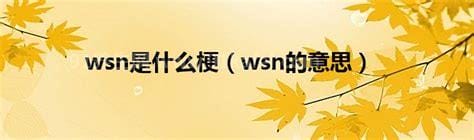 wsn是什么梗，猥琐男的拼音首字母缩