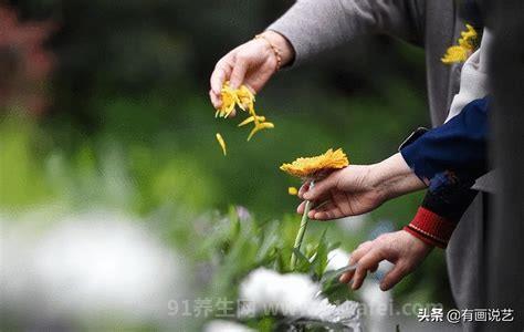 扫墓时间有什么讲究，扫墓的禁忌和注意事项(忌傍晚祭祖)