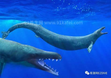 龙王鲸灭绝了吗，3400万年前彻底灭绝(为现代鲸鱼始祖)