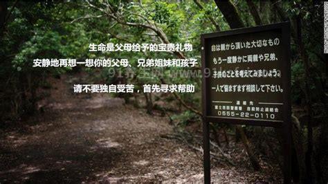 青木原树海到底能去吗，不建议过于深入(“自杀森林”名副其实)