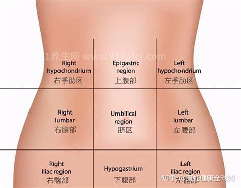最全左腹部疼痛对照表，左中腹部的疼痛是肾疼不要和背痛混淆