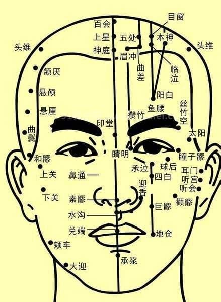 人体面部穴位图及功效作用，常按脸部16个穴位可美容瘦脸