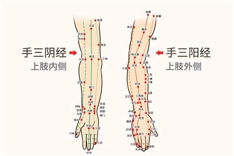 6条人体手上经络图，刮一刮手指就有全身保健的效果