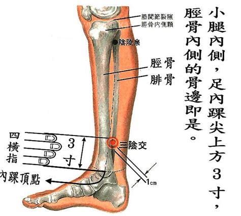 准确三阴焦位置图和作用，在脚踝上面四指的距离(附按摩视频)