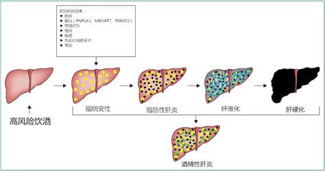 肝病的七个征兆，血痣/蜘蛛痣可能是严重肝病的前兆