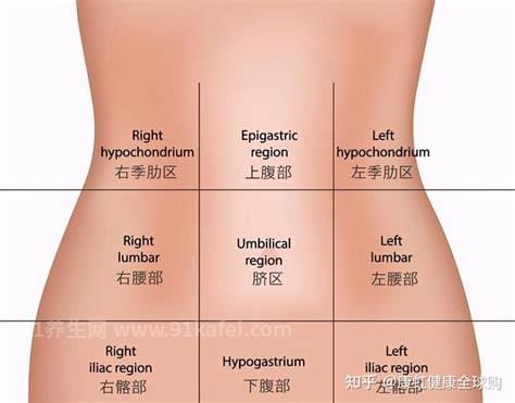 男性左上腹疼痛位置图，腹部疼痛地图告诉你各处疼痛的原因