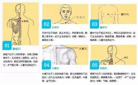 三伏贴贴敷部位图，5大不同穴位的防治疾病也不同