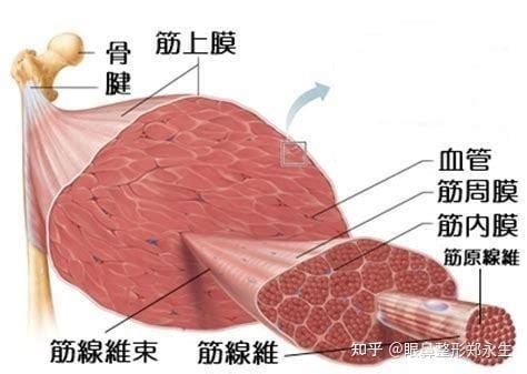 早期坏死性筋膜炎图片，先疼后麻木长出血疱有恶臭(5大症状)