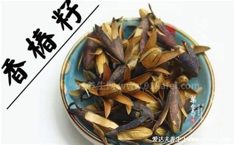 香椿籽泡水喝有什么作用功效，治风寒