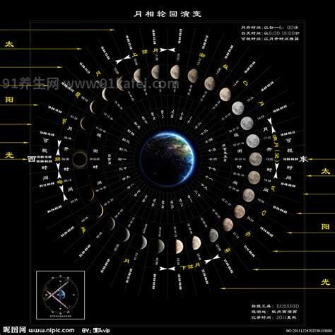 月相变化图，8种形状的变化(满月最亮)