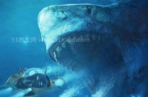 巨齿鲨的天敌是谁 梅尔维尔鲸（双方仅能打成平手）
