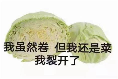 卷心菜是什么梗，又菜有爱卷或被迫内卷进来