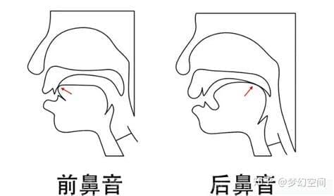 前鼻音和后鼻音有哪些，前鼻音一共是有an/en/un/ün