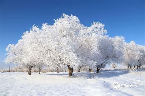 大雪纷飞图片美景 雪景图片大全唯美意境