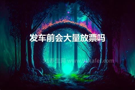 发车前会大量放票吗，不会/但会有中