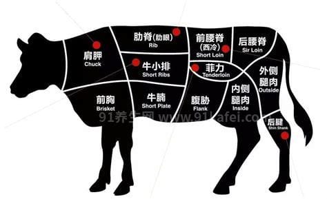 肉眼牛排是牛的哪个部位，肋骨附近(