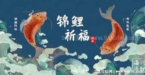 求锦鲤是什么意思 锦鲤有好运的意思