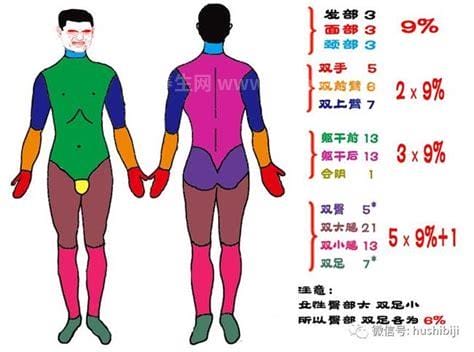 烧伤面积口诀三三三五六七，不同部位